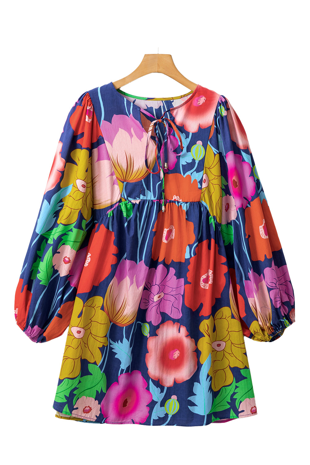 Colorful Floral V Neck Balloon Sleeve Plus Size Babydoll Dress