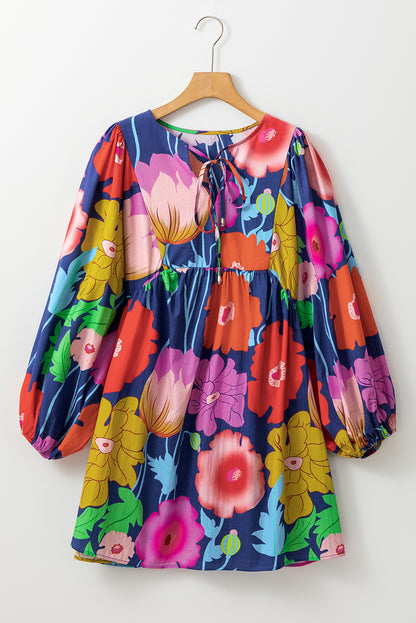 Colorful Floral V Neck Balloon Sleeve Plus Size Babydoll Dress