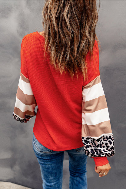 Red Hello Pumpkin Graphic Leopard Striped Colorblock Sleeve Sweatshirt